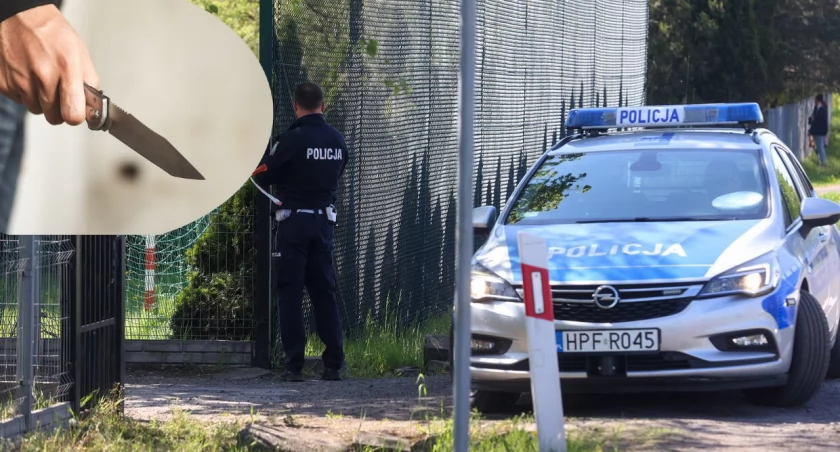 Atak nożownika w Lesie Bródnowskim w Warszawie. Zatrzymany sprawca usłyszy zarzuty