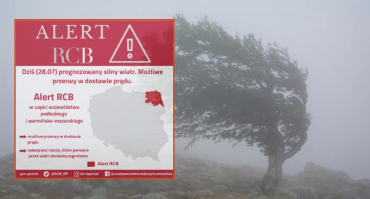 Wydano alert RCB dla dwóch województw. Nadciąga silny wiatr 