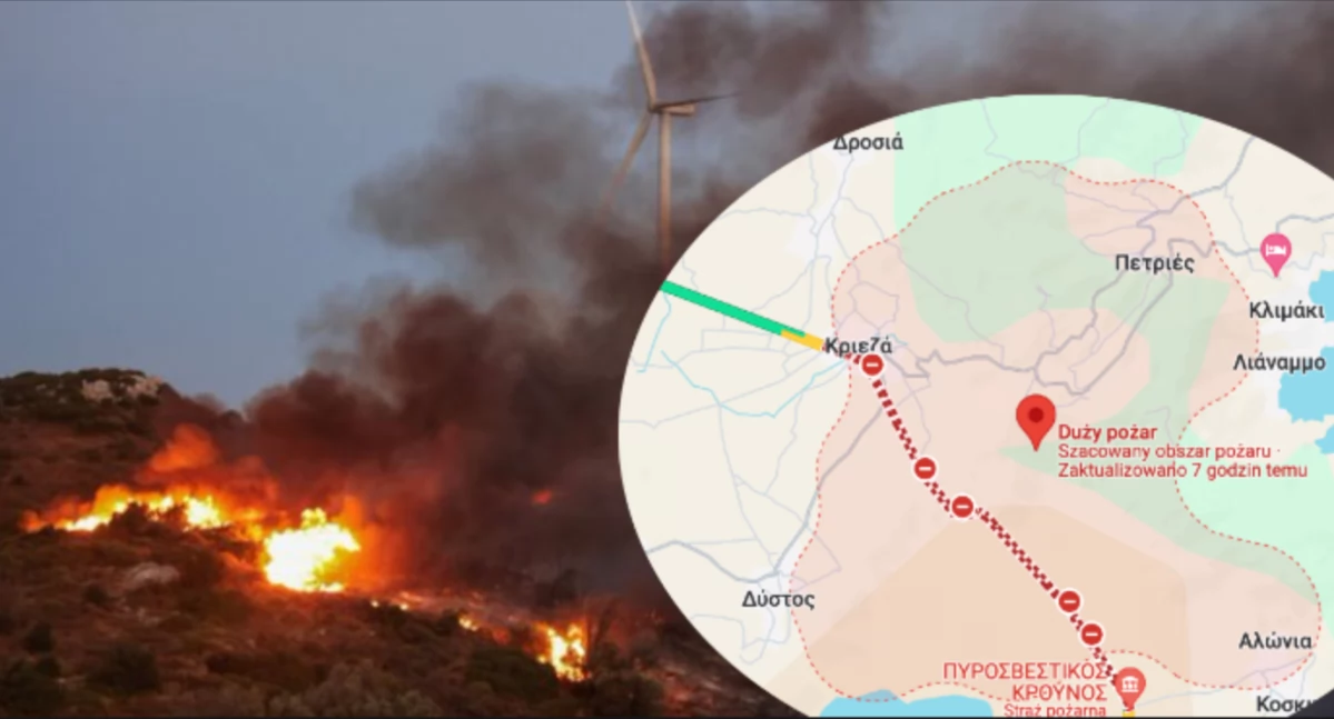 Duży pożar w Grecji. Ewakuacja ludzi z wyspy Evia