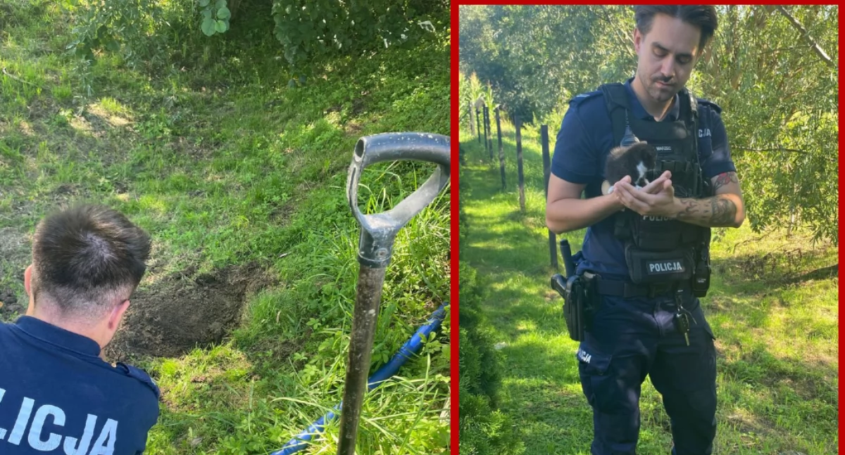 Nowy Dwór: Matka zakopała żywe koty. Córka znalazła je w ogrodzie