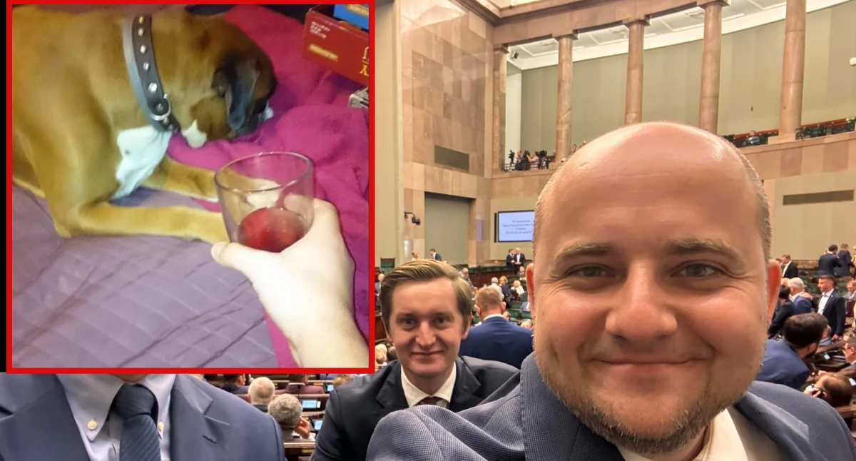 Leśny Partol zarzuca Dariuszowi Mateckiemu, że miał znęcać się nad psem