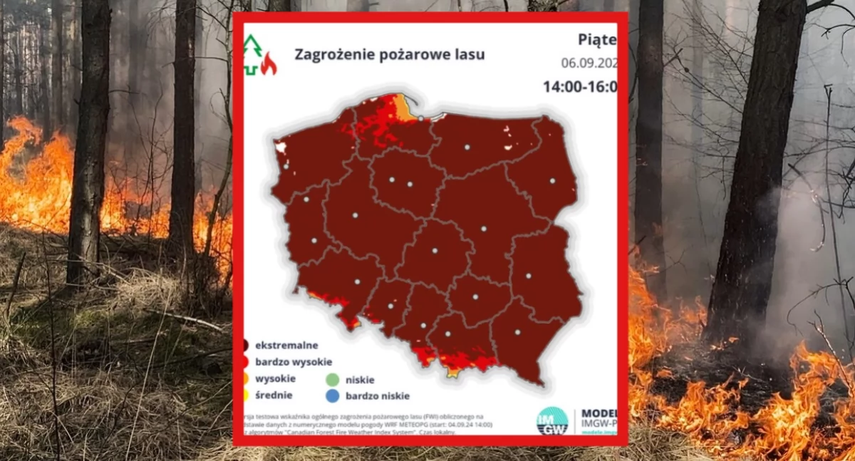 Zagrożenie pożarowe w Polsce rośnie. Upały i brak deszczu sprzyjają pożarom