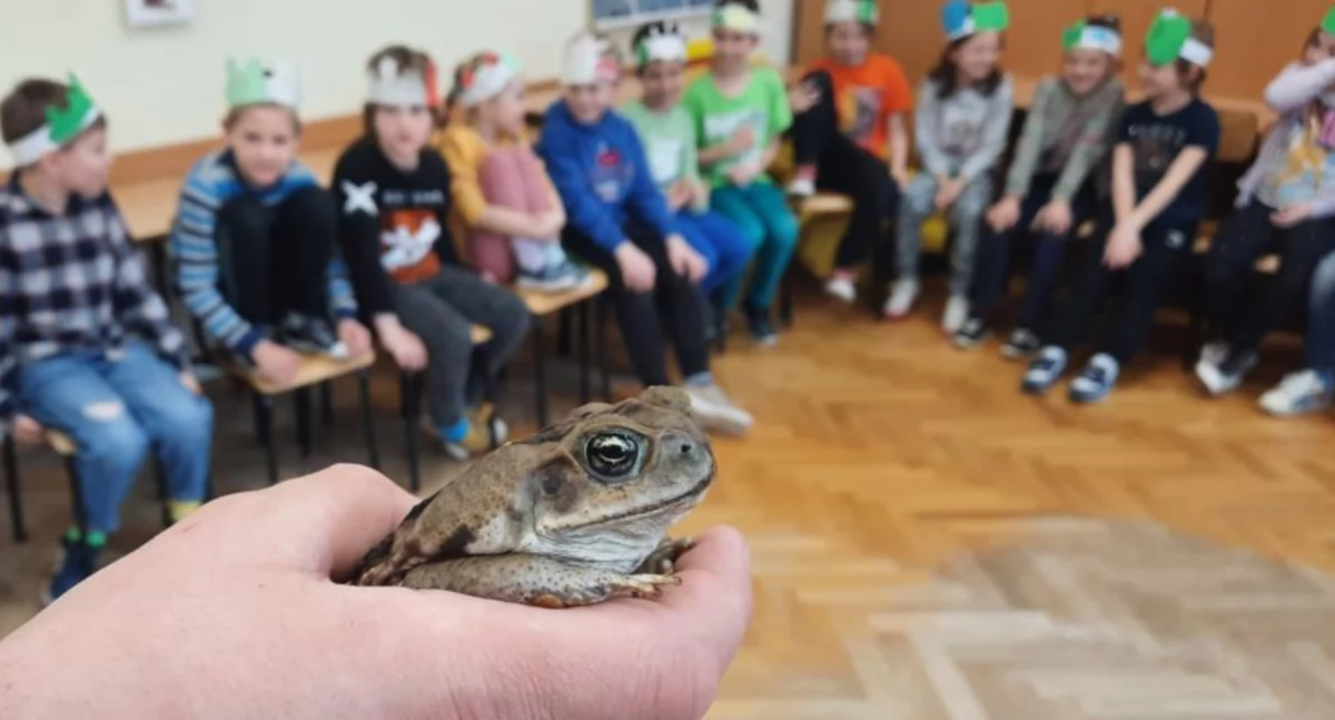 Zmiany w systemie edukacji. Przedmiot przyroda zastąpi cztery inne – nowe informacje o reformie edukacji w 2026 roku