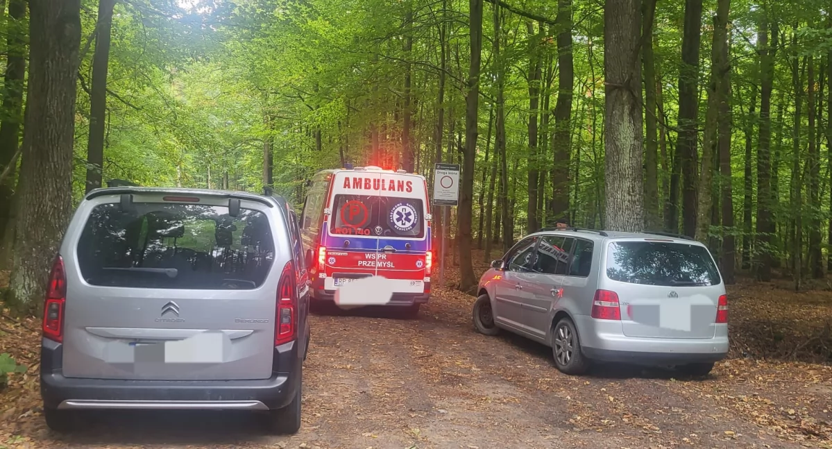 Osoby zbierające grzyby w lesie na Podkarpaciu zablokowały dojazd karetce pogotowia