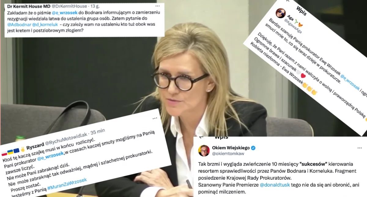 Kadr z przesłuchania prok. Ewy Wrzosek. Internauci krytykują działania ministerstwa w zakresie naprawy prokuratury 