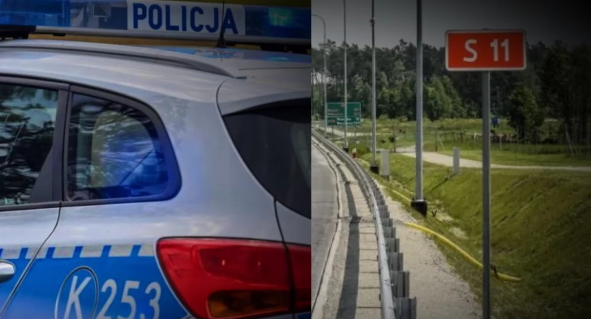 Wypadek na S11 spowodowany przez wejście na drogę pieszego. 4 auta zderzyły się 