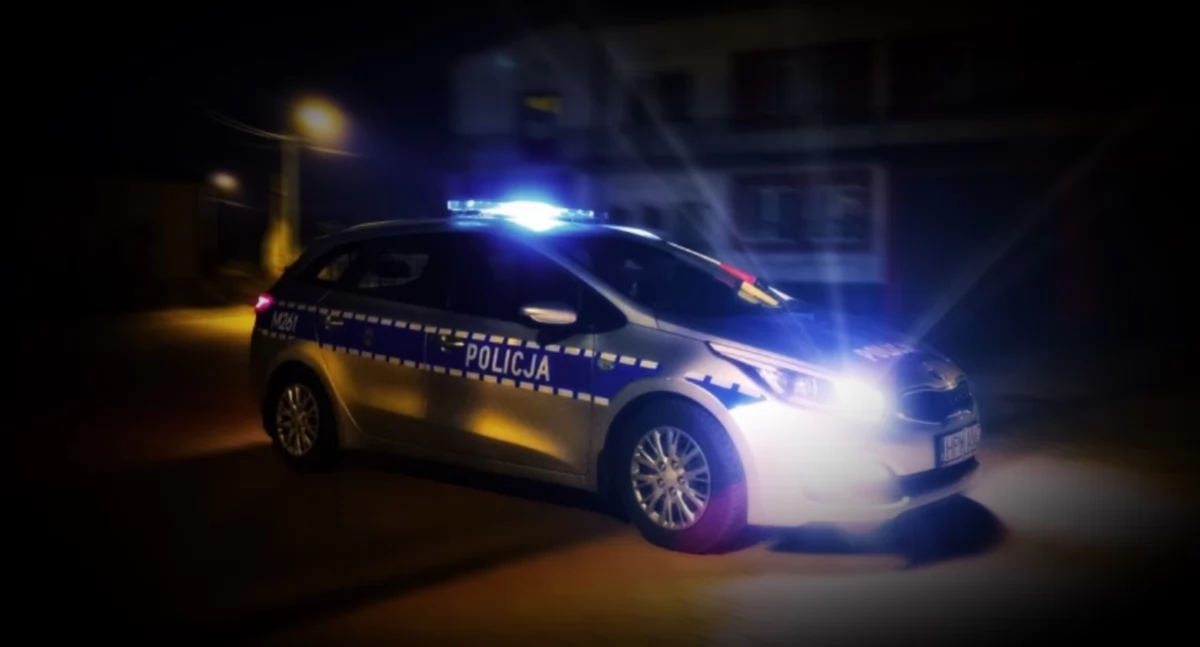 Zdjęcie auta policyjnego. Ciężarówka wjechała w barierki na autostradzie A1