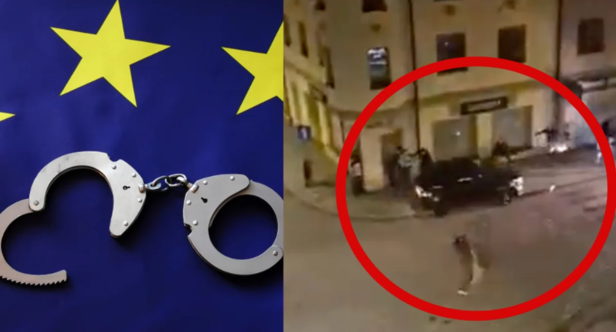 Mężczyzna próbował rozjechać ludzi w Głogowie. Trwa międzynarodowa obława