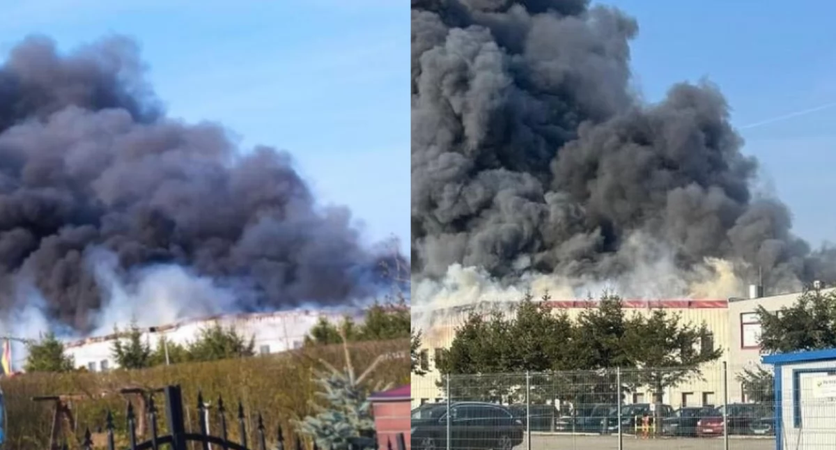 Hala w Cigacicach płonie, a dym widoczny z kilometrów. Trwa akcja gaśnicza
