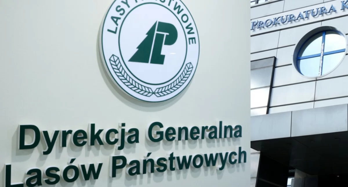 Byli dyrektorzy Lasów Państwowych z zarzutami. Fikcyjne zatrudnienia i powiązania z posłem Dariuszem Mateckim