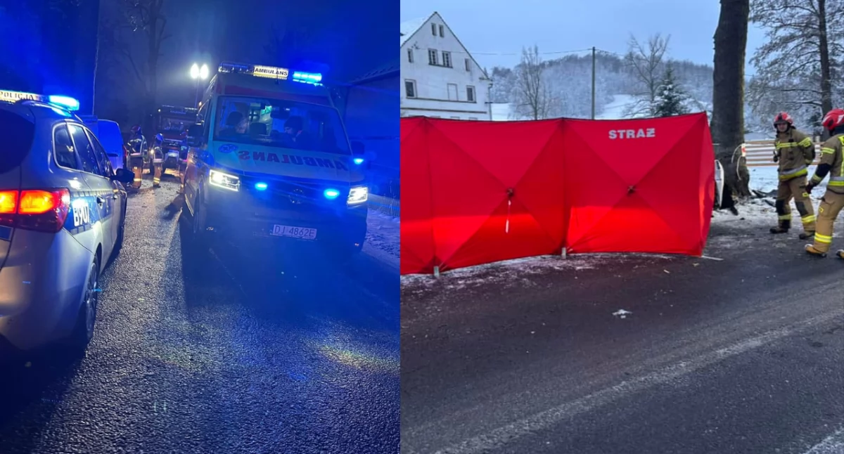 Zdjęcia z miejsca wypadku pod Jaworem. Akcja ratunkowa zakończyła się zgonem młodego mężczyzny