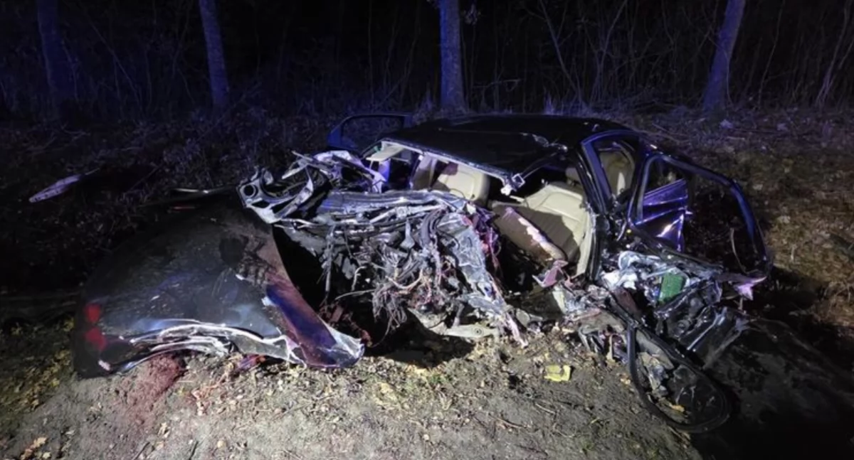 Zdjęcie przedstawia samochód Alfa Romeo 159, w którym po uderzeniu w drzewo zginął 27-latek