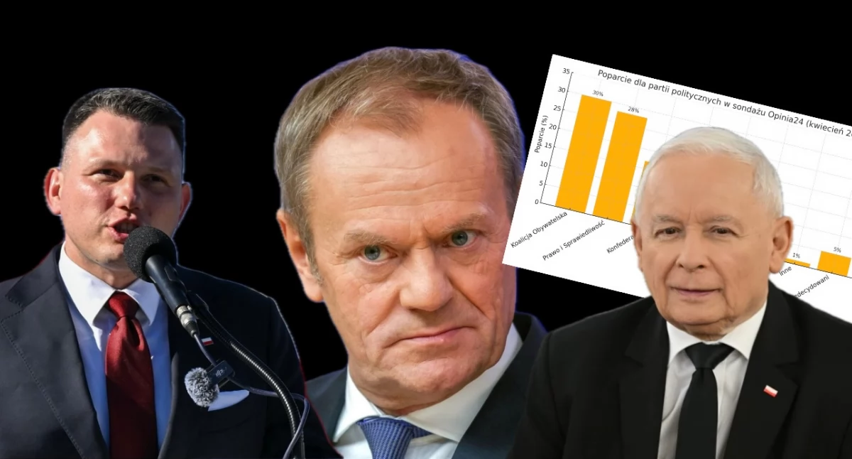 Najnowszy sondaż poparcia dla parii politycznych w kwietniu 2025 roku. Wyniki badania, dane i szczegółowy wykres 