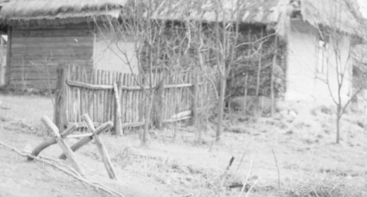 Świat, Ukraina zgadza ekshumacje ofiar zbrodni wołyńskiej Prace ruszają dzień - zdjęcie, fotografia