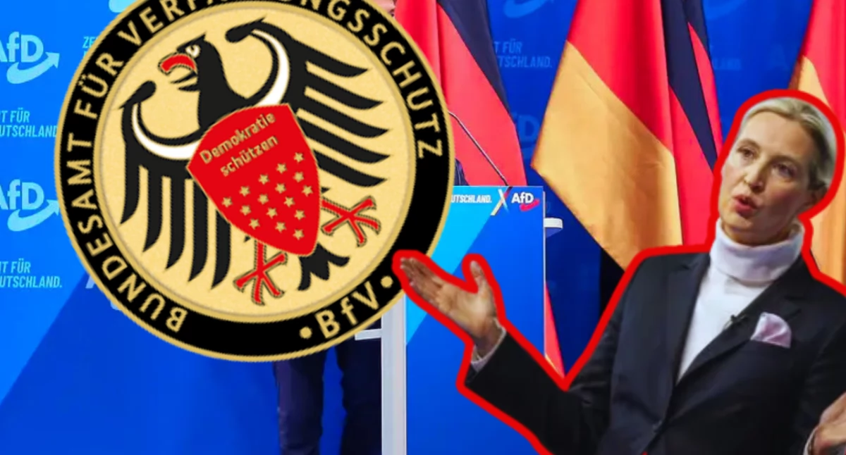 BfV uznaje AfD za zagrożenie dla demokracji – partia ostro protestuje