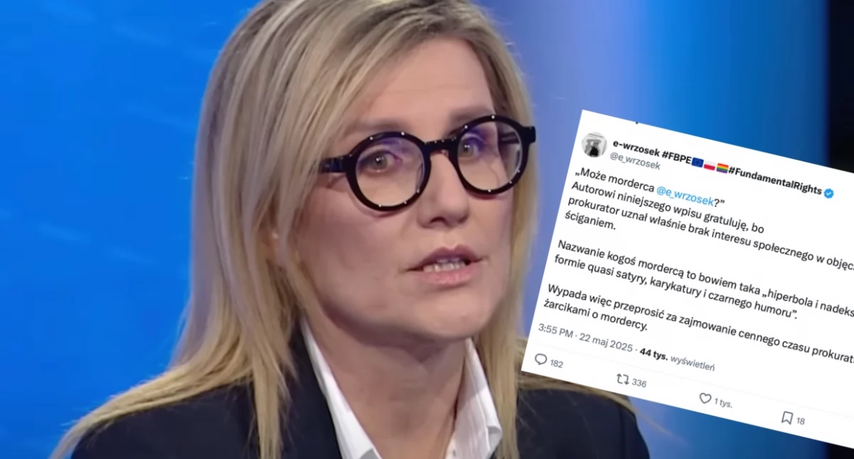 Prok. Ewa Wrzosek nazwana mordercą. Prokuratura nie będzie ścigała hejtera 
