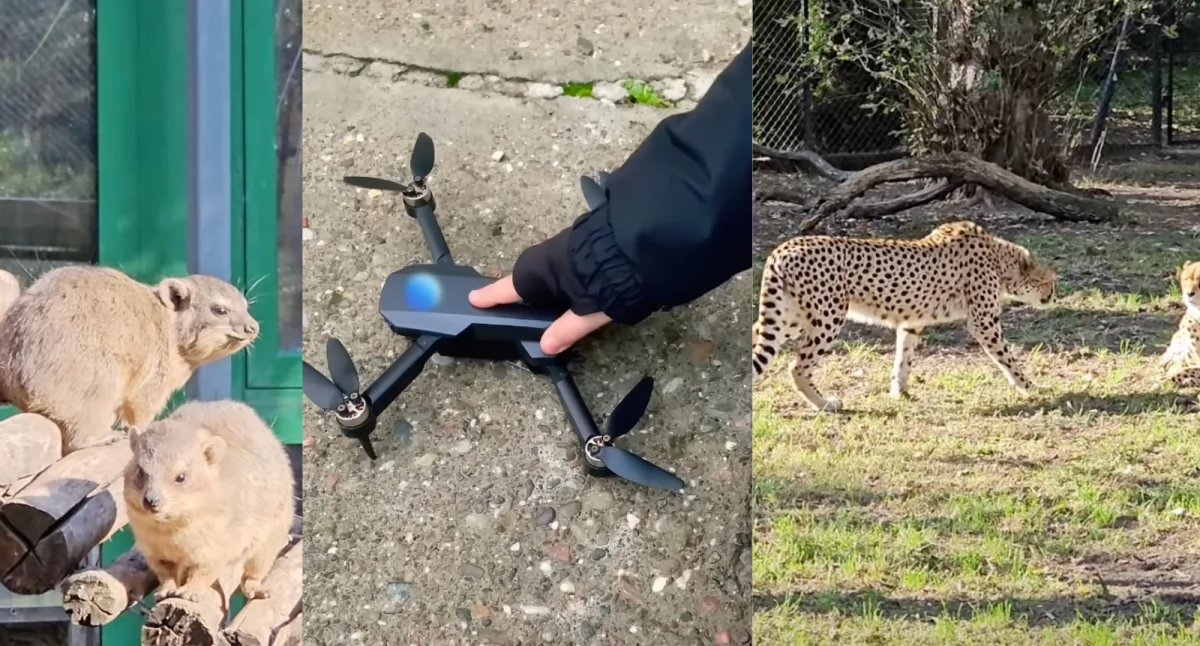Zdjęcia z warszawskiego zoo