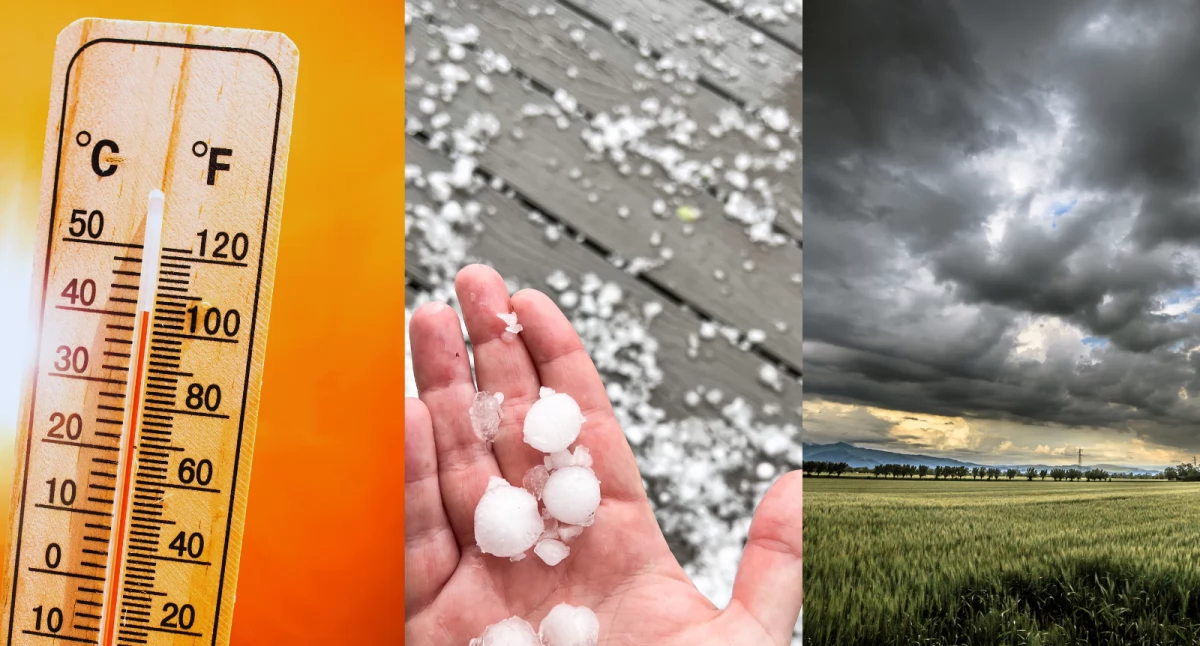 Burze, grad i wiatr nad Polską