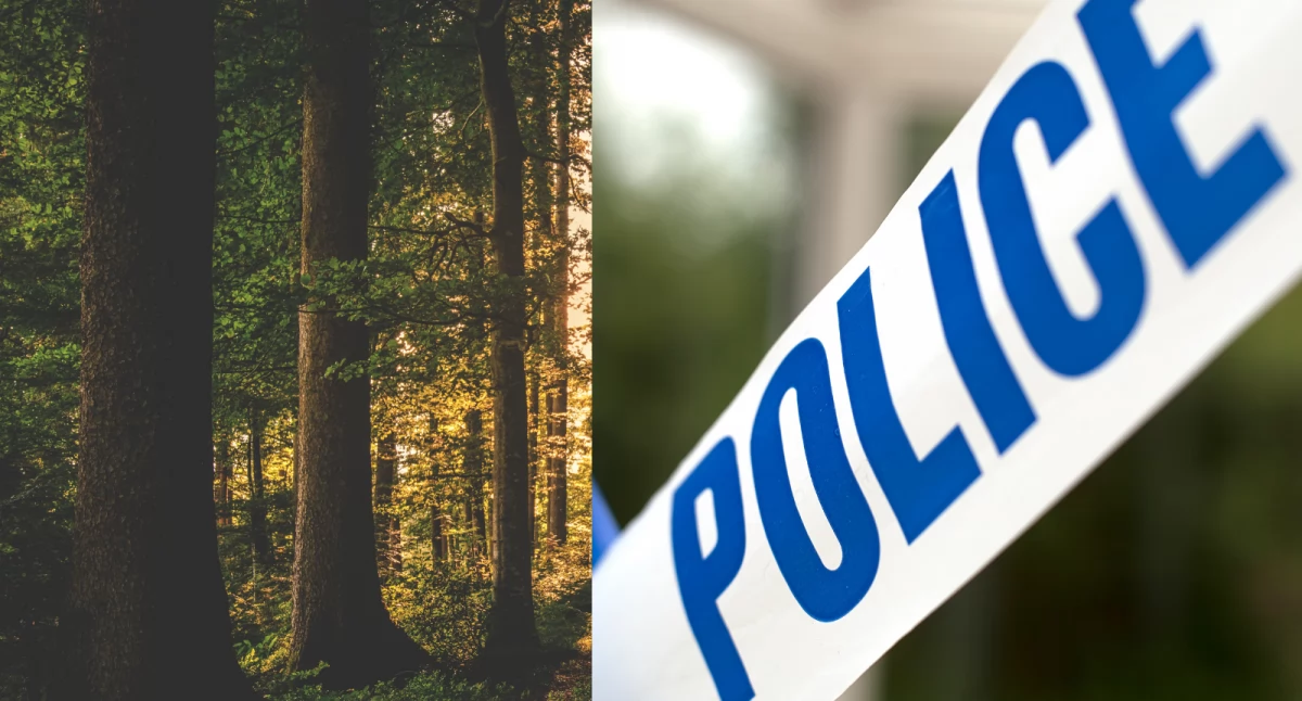 Tragedia w lesie koło Skępego. Policja potwierdziła tożsamość ofiar