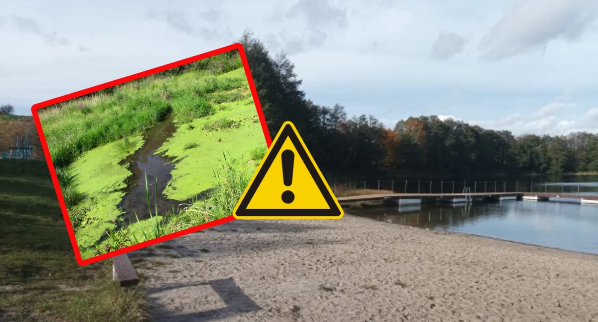 Zdjęcie poglądowe. Sinice w woj. pomorskim