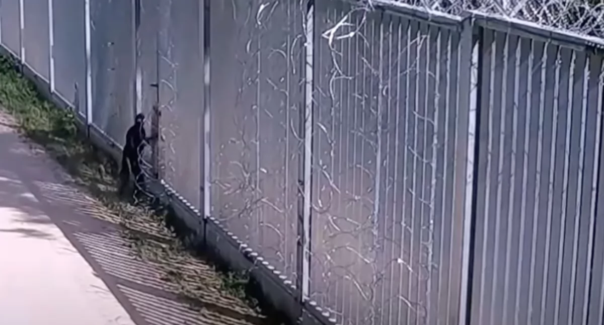Zapora na granicy Polski z Białorusią – próba przekroczenia bariery przez nielegalnego imigranta 