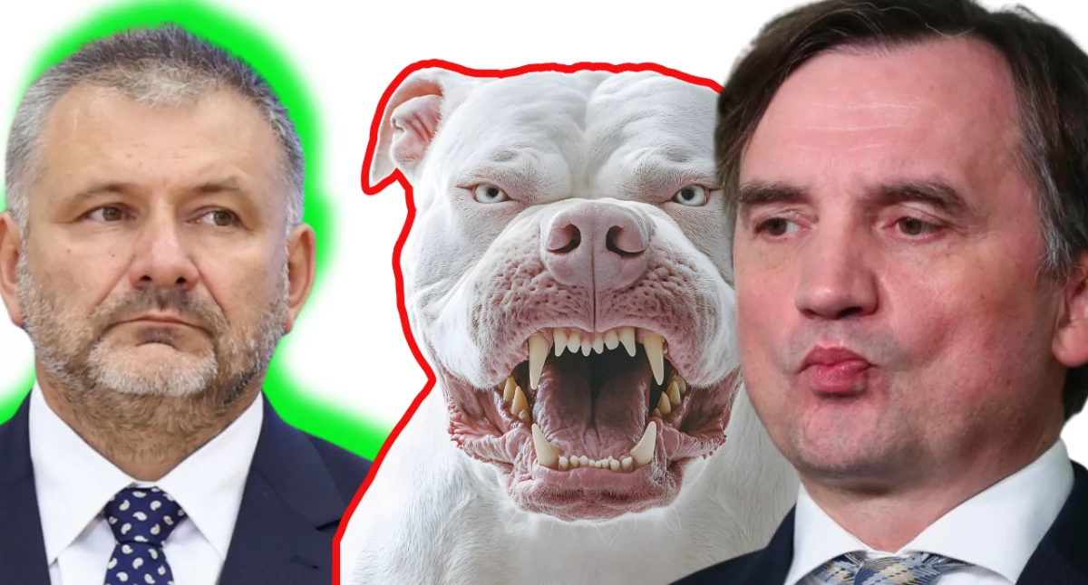 Minister Sprawiedliwości Waldemar Żurek skomentował 