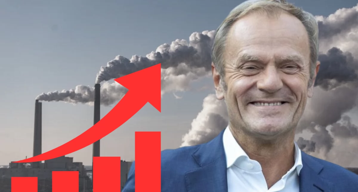 Biznes, Polska najszybszym wzrostem podał kwartał - zdjęcie, fotografia