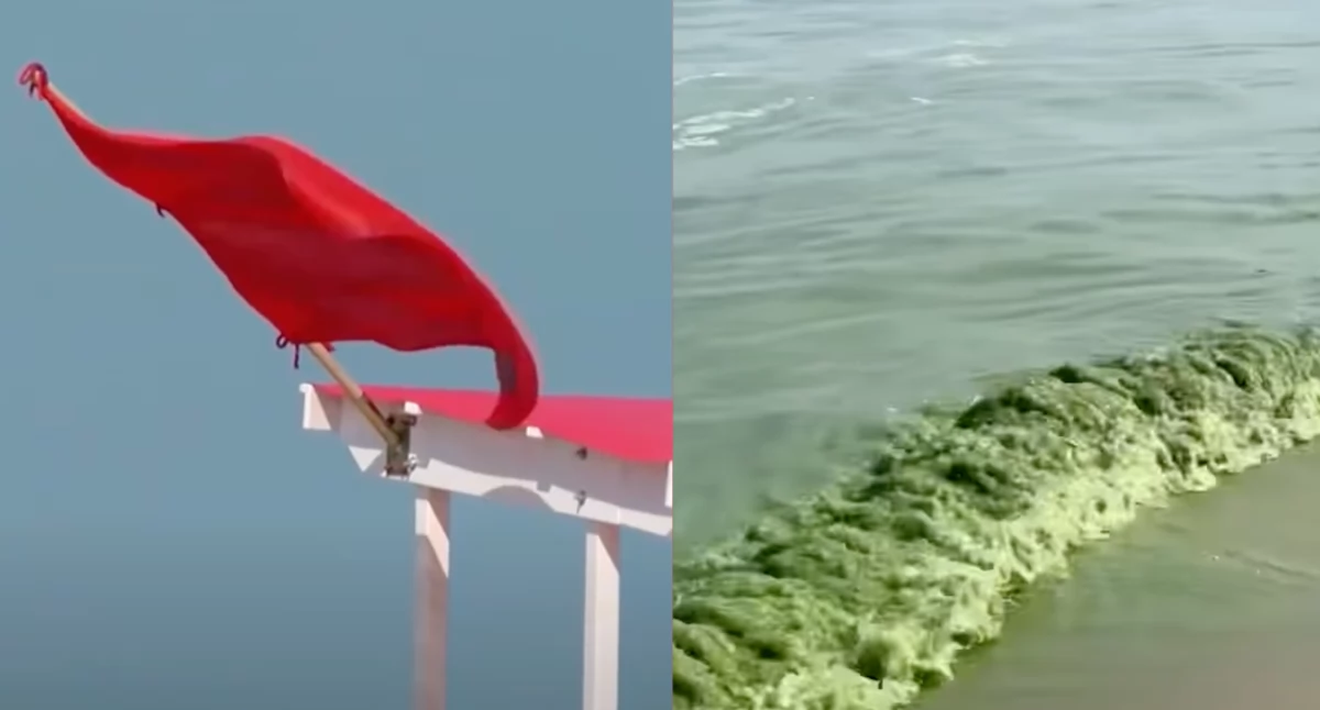 Plaża nad Bałtykiem zamknięte przez sinice i wysokie fale. WOPR wywiesił czerwone flagi na plażach i ogłosił zakaz kąpieli 