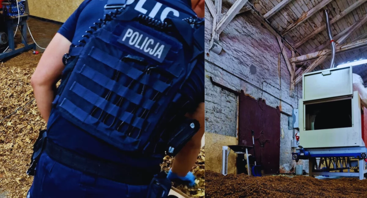 Policja w Kaliszu rozbiła grupę przestępczą produkującą nielegalne papierosy 