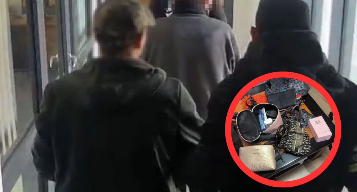 Złodzieje wpadli dzięki lokalizatorowi. Ukradli walizkę obywatelce Brazylii