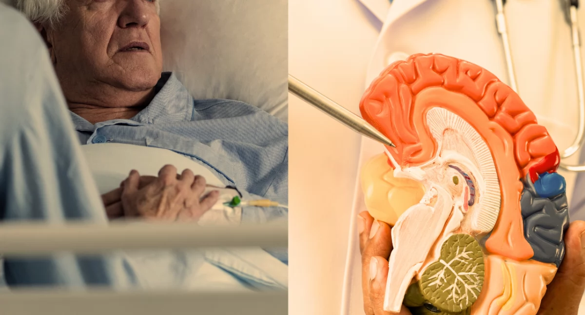 Alzheimer, nowa metoda z Łodzi może poprawić pamięć pacjentów