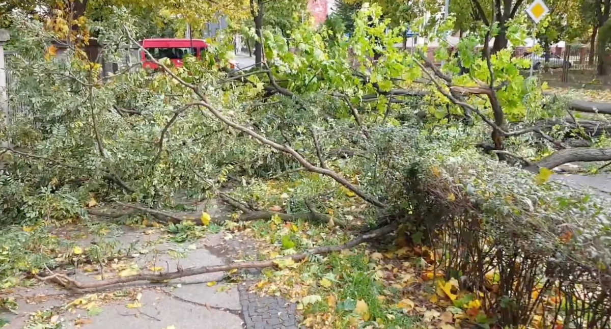 Silny wiatr i ulewy sieją spustoszenie. Straż pożarna interweniowała 1800 razy
