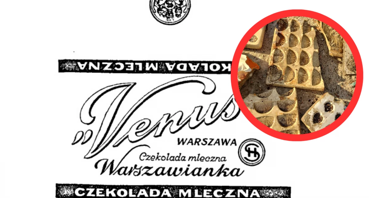 Archeolodzy odkryli pozostałości Fabryki Czekolady H. Szpiro przy ul. Twardej