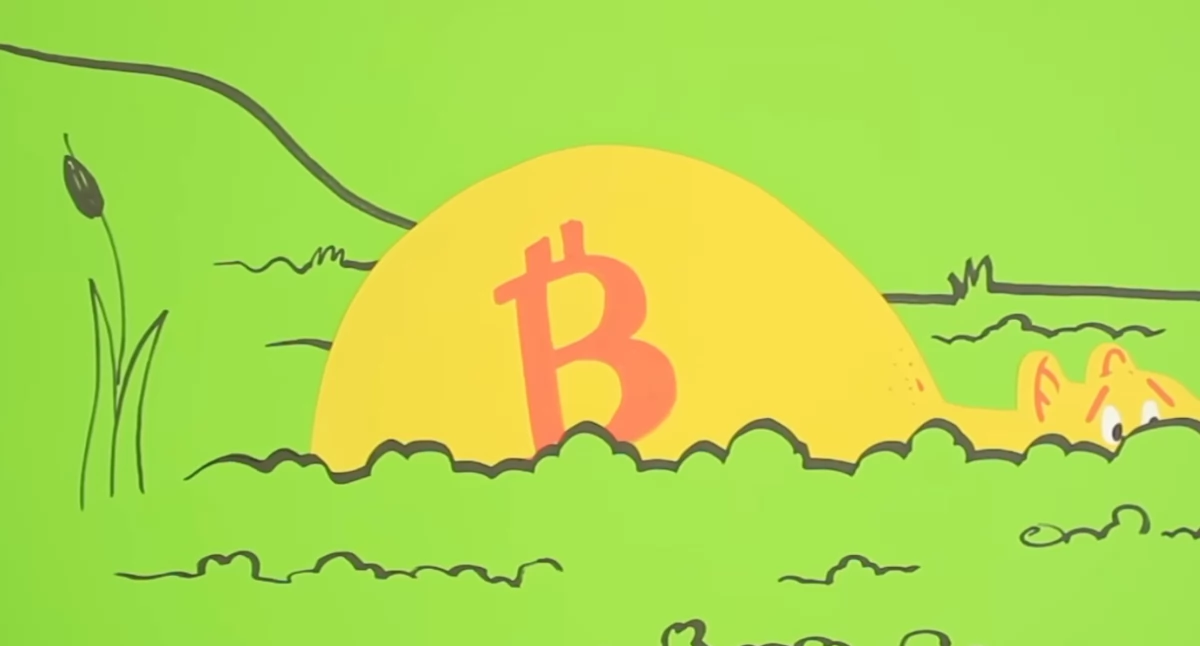 Bez ustawy o kryptowalutach firmy uciekną z Polski. Ministerstwo Finansów ostrzega