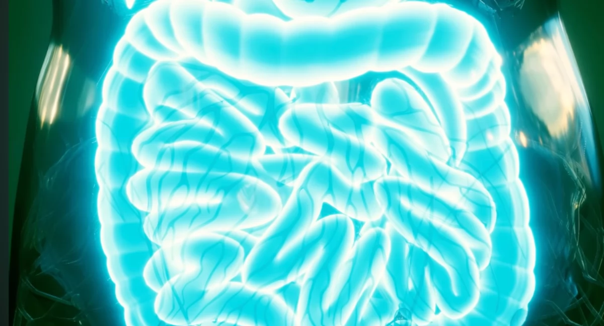 Najgroźniejsze infekcje grzybicze – mukormykoza, aspergiloza, kandydemia