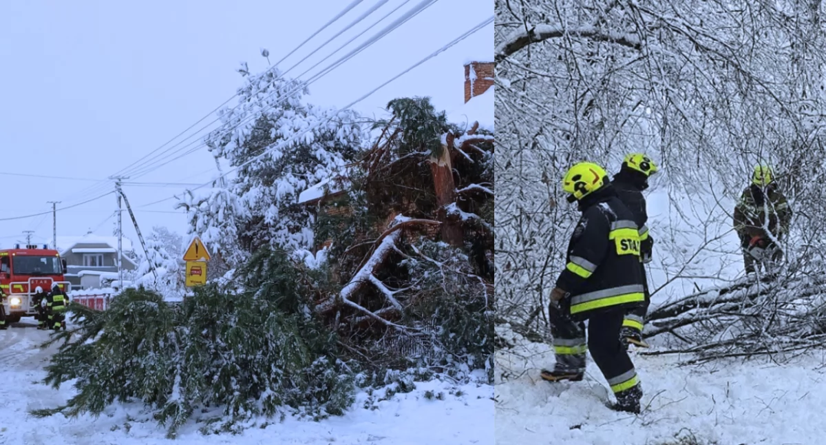 Strażacy interweniują po intensywnych opadach śniegu. Zawalony dach, powalone drzewa i brak prądu