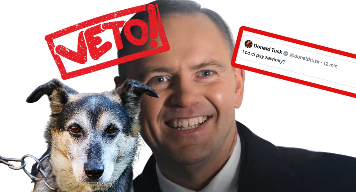 Karol Nawrocki odrzucił ustawę o zakazie trzymania psów na łańcuchach