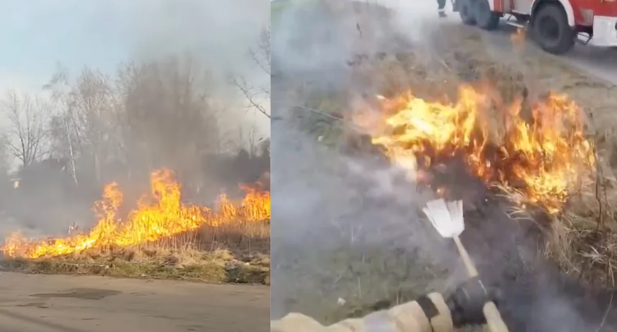 Zaostrzenie kar za wypalanie traw. Wysokie kary grzywny i pozbawienie wolności za rozniecanie ognia