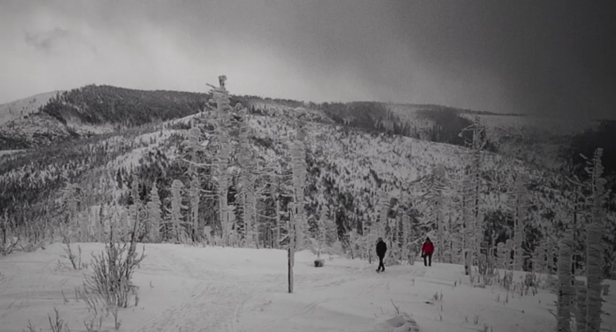 Warunki w Beskidach coraz trudniejsze. Ratownicy apelują o ostrożność