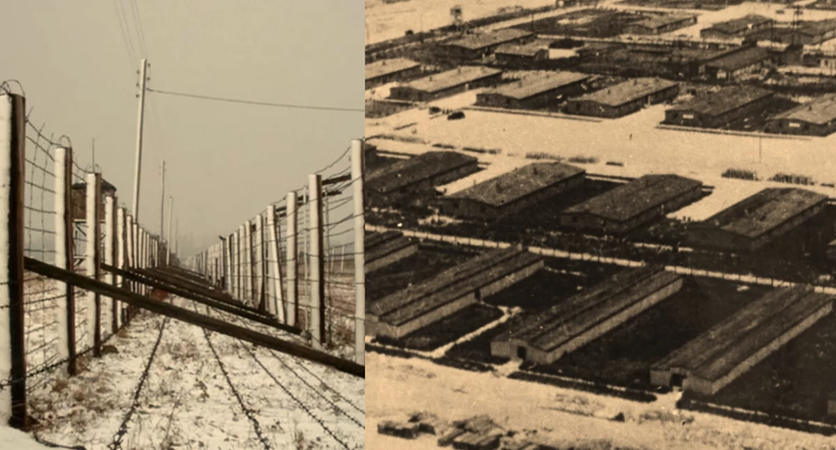 Wigilia w obozie koncentracyjnym. Poruszające relacje z Majdanka