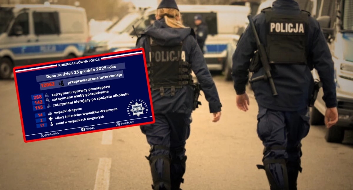 Bilans pierwszego dnia świąt. Dane policji nie pozostawiają złudzeń