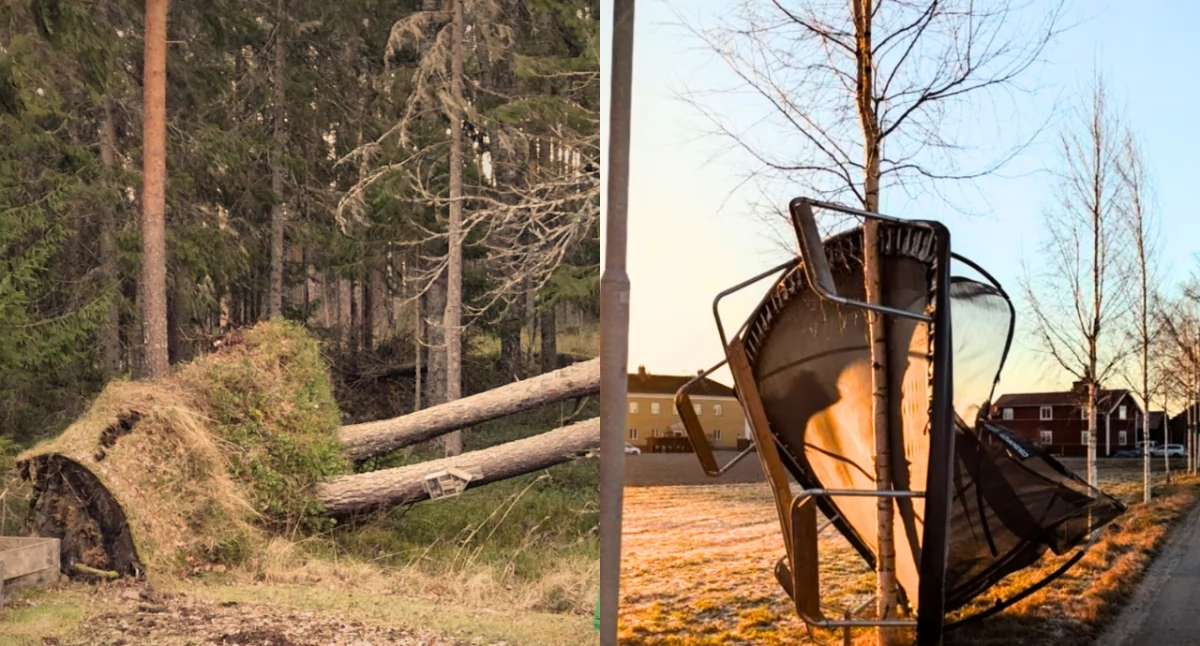 Sztorm Johannes przeszedł nad Szwecją. Nie żyją trzy osoby