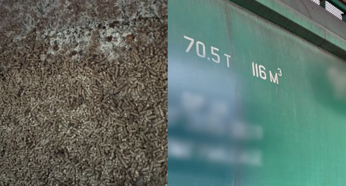 Granica Polska–Ukraina: transport śruty paszowej cofnięty. Decyzja weterynaryjna