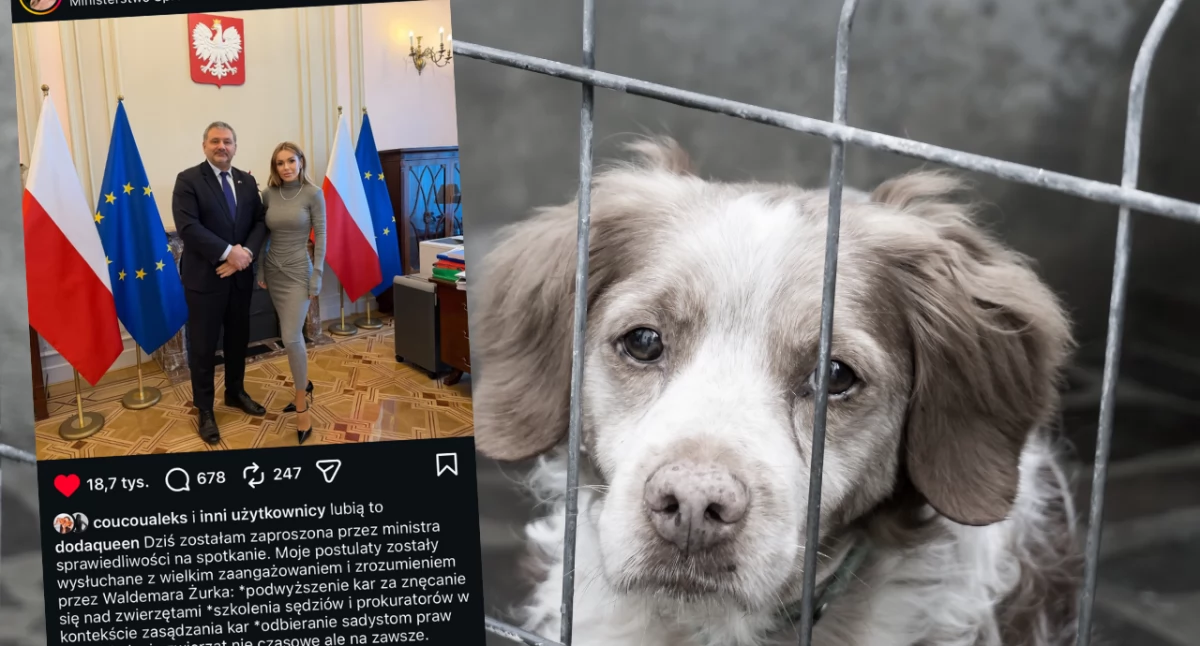 Spotkanie Dody z Waldemarem Żurkiem w Ministerstwie Sprawiedliwości – chodzi o pato-schroniska i podwyższenie kar za znęcanie się nad zwierzętami