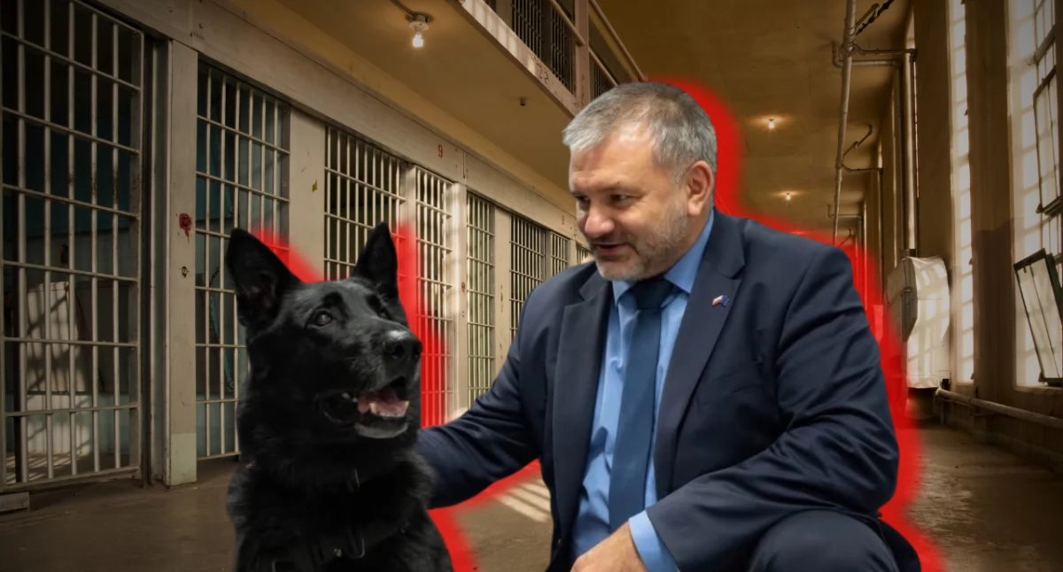Minister Żurek zapowiada zmiany. Bezdomne psy trafią do zakładów karnych