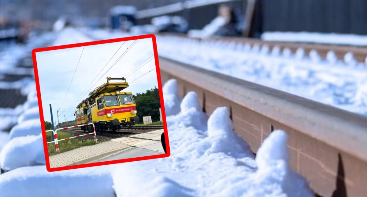 Poważna awaria kolejowa na Pomorzu. PKP wstrzymało ruch pociągów, wprowadzono komunikację zastępczą i występują opóźnienia SKM