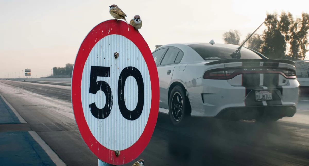 Koniec taryfy ulgowej dla piratów drogowych. Nowelizacja Prawa o ruchu drogowym wprowadza surowsze kary