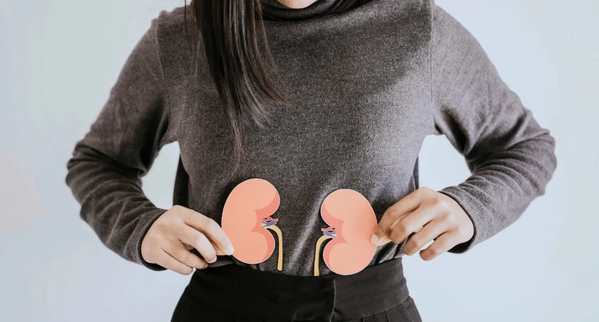 Przewlekła choroba nerek rozwija się bezobjawowo. Badanie kreatyniny, eGFR i albuminurii pozwala wykryć PChN i uniknąć dializy