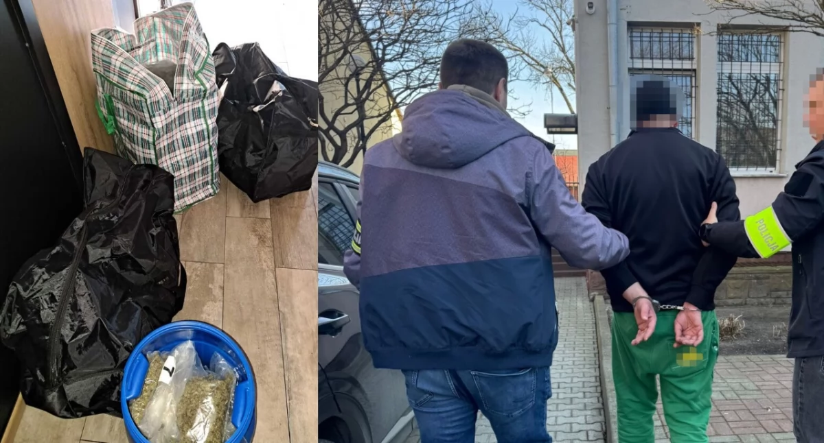 Marihuana i kokaina przejęte przez policję z Radomia