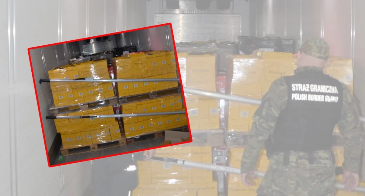 Funkcjonariusze udaremnili przemyt alkoholu bez akcyzy w miejscowości Świecko. Kierowca odpowie za paserstwo i użycie fałszywych tablic